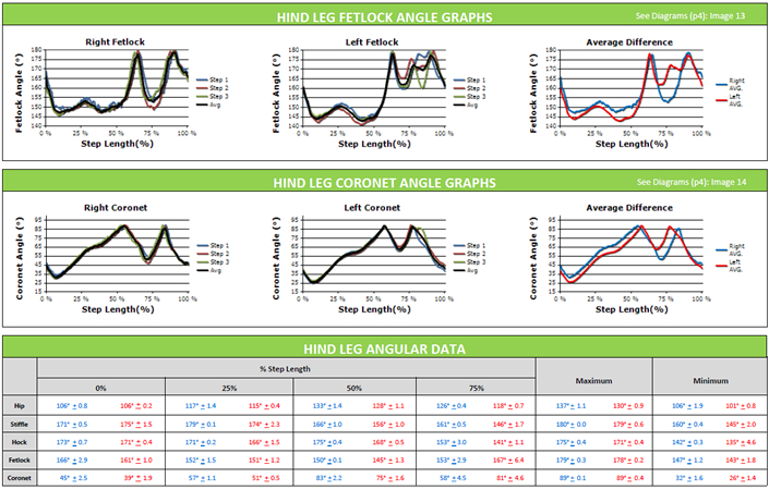 Quintic Equine QAR